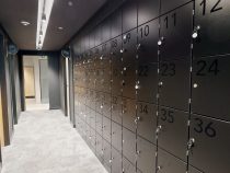 Evolve - MediaCity