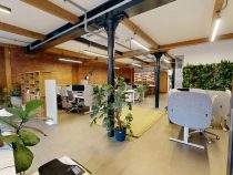 Amazon House - Ground Floor